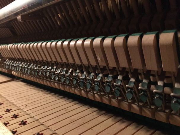 Attrapes & lanières du chevalet