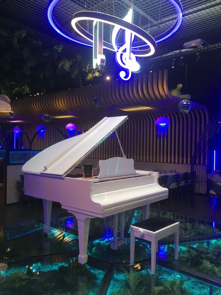 Piano Restaurant Océan Bleu - Evreux